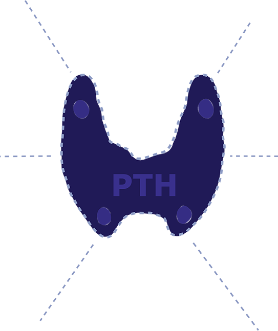 thyroid inactive